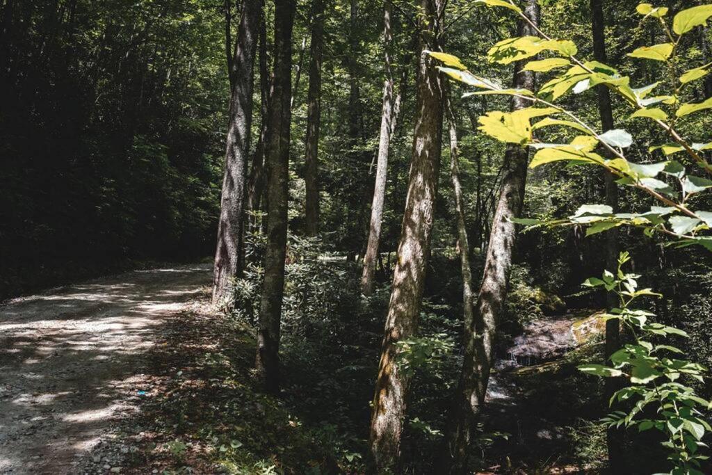 Creekside Overlook At 36 North Cabin - Fireplace Purlear المظهر الخارجي الصورة
